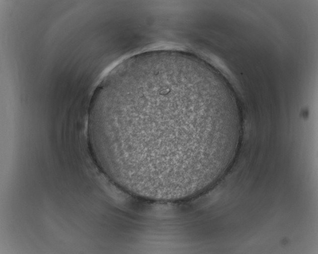 X0000092031220200709271603