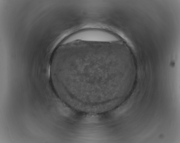 X0000092031221200709271603