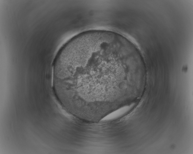 X0000092031223200709271603