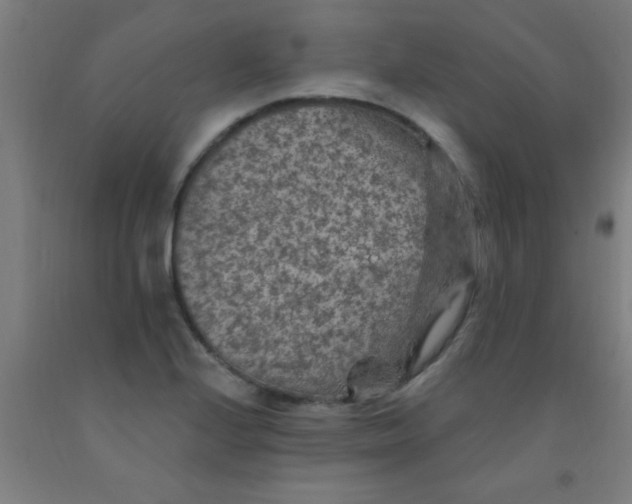 X0000092031224200709271603