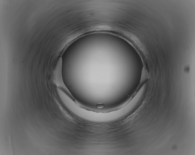 X0000092031225200709271603