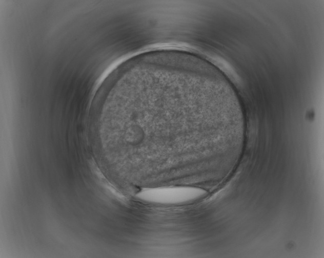 X0000092031228200709271603