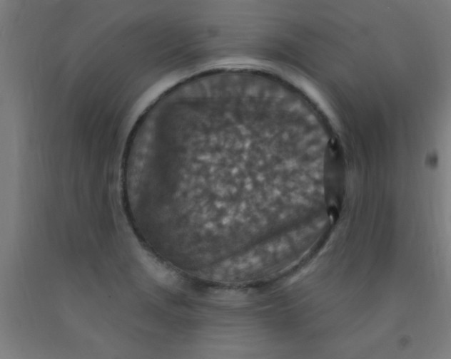 X0000092031229200709271603