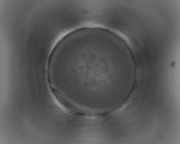 X0000092031231200709271603