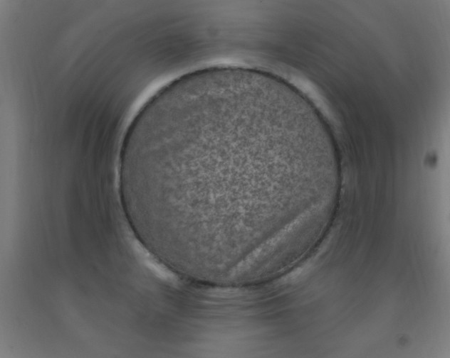 X0000092031232200709271603