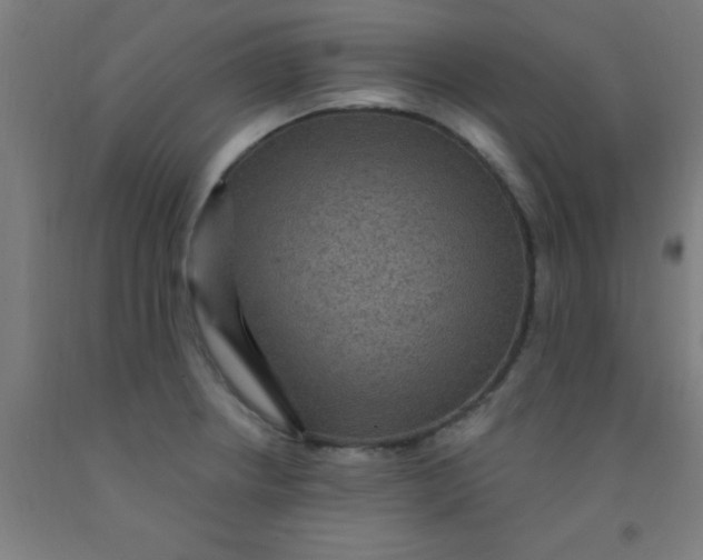 X0000092031234200709271603