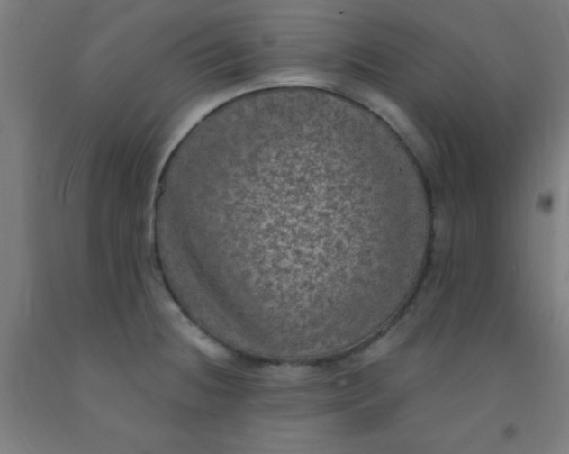 X0000092031236200709271603