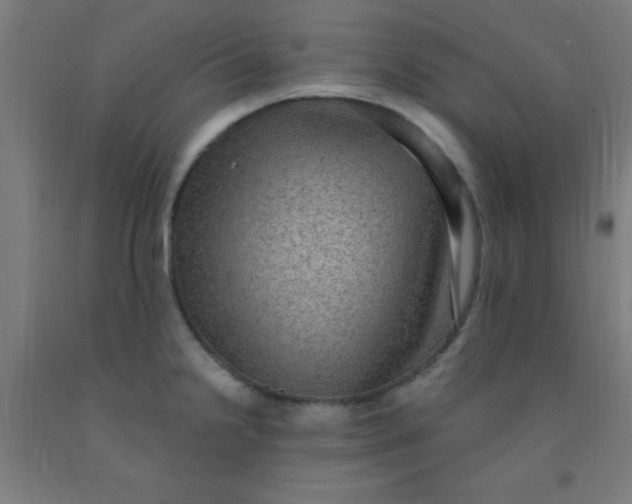 X0000092031238200709271603