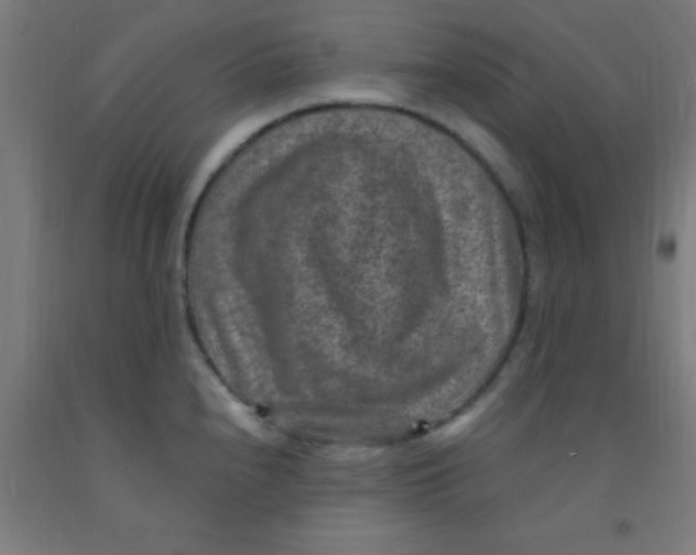 X0000092031240200709271603