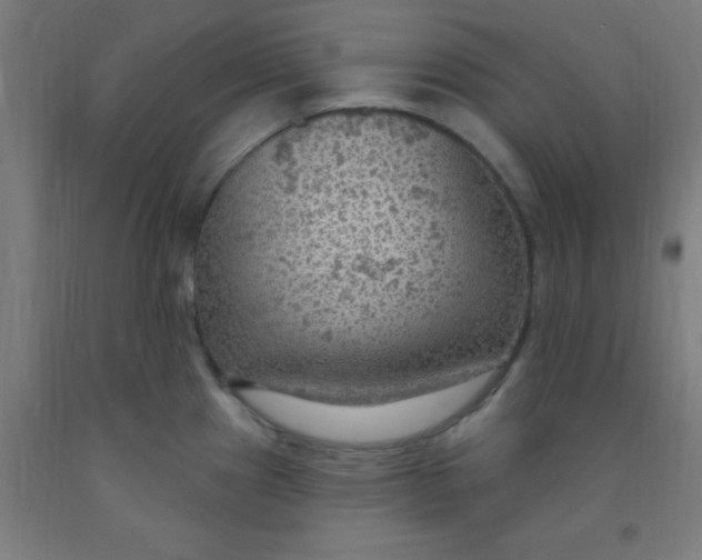 X0000092031241200709271603