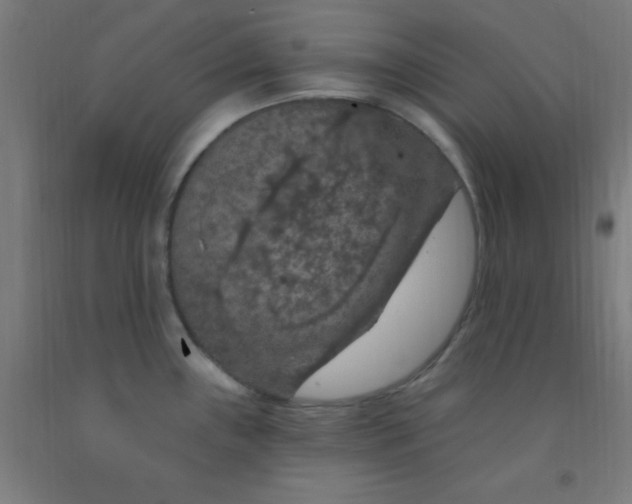 X0000092031243200709271603