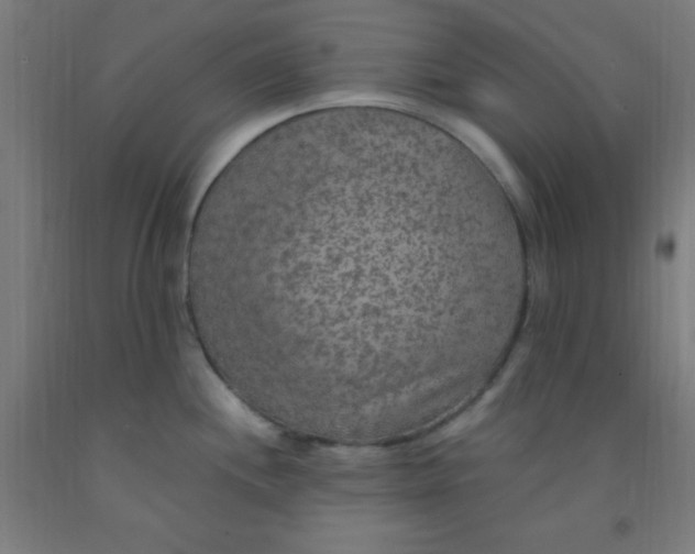 X0000092031244200709271603