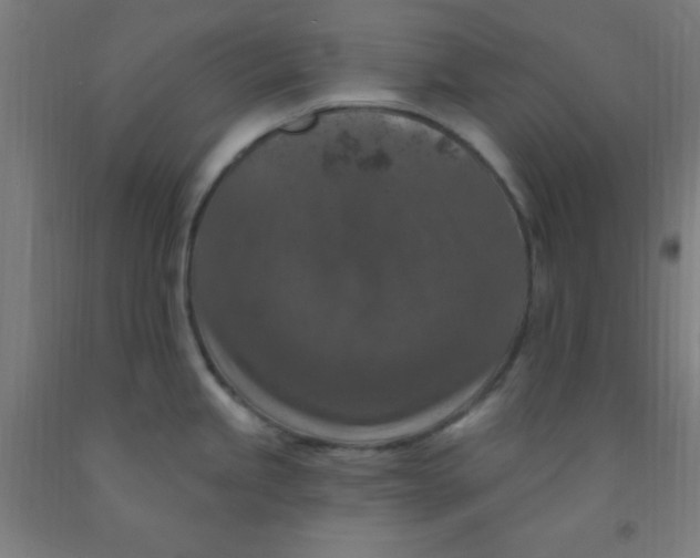 X0000092031245200709271603