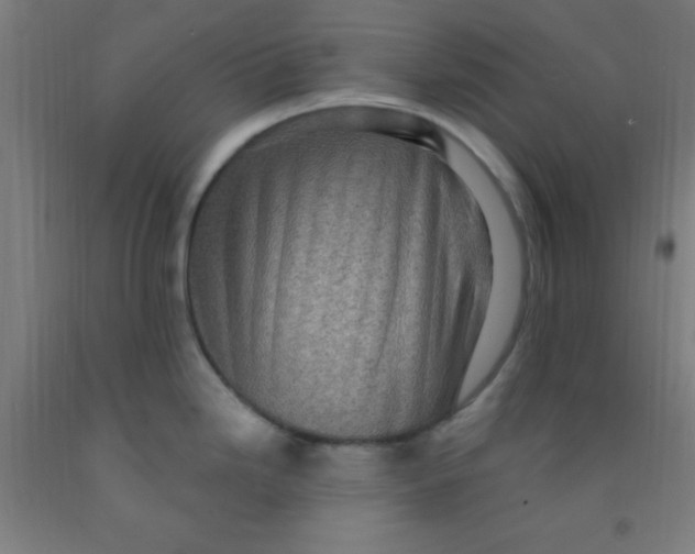 X0000092031246200709271603