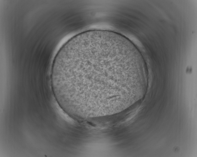 X0000092031248200709271603