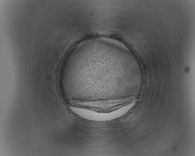 X0000092031249200709271602