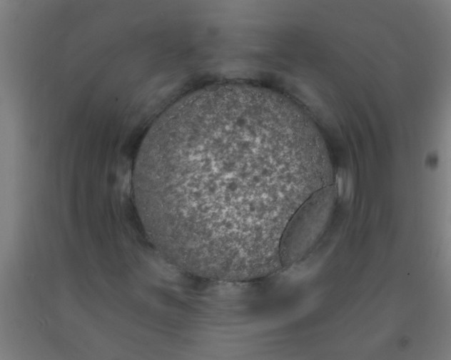 X0000092031251200709271602