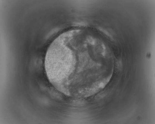 X0000092031254200709271602