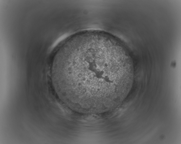 X0000092031255200709271602