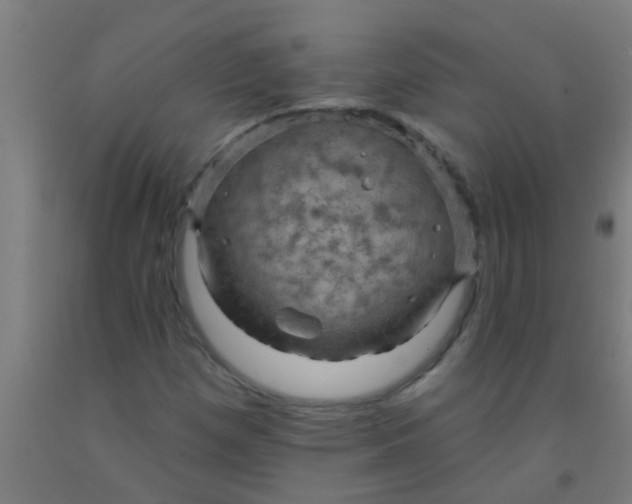 X0000092031257200709271602