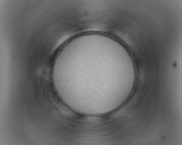 X0000092031258200709271602