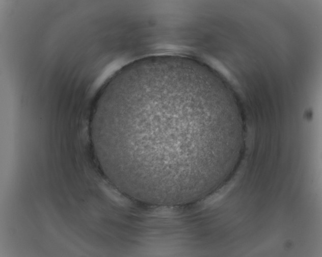 X0000092031259200709271602