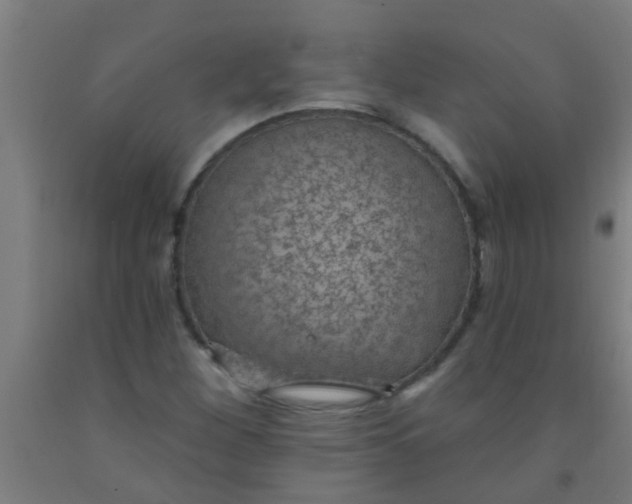 X0000092031260200709271602