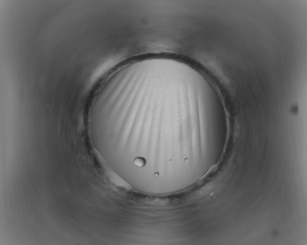 X0000092031261200709271602