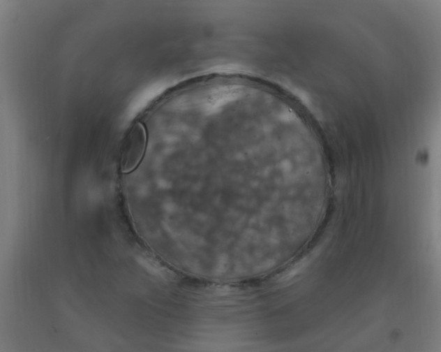 X0000092031263200709271602