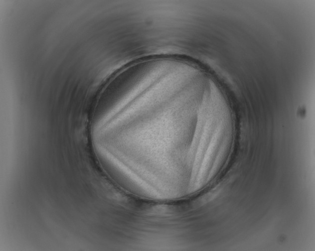 X0000092031265200709271602