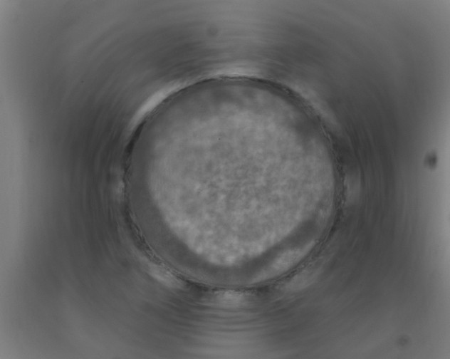 X0000092031266200709271602