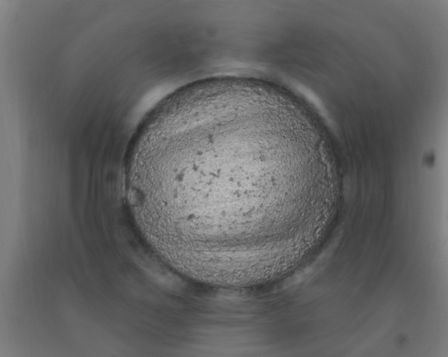 X0000092031267200709271602