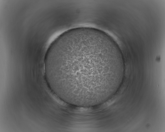 X0000092031271200709271602