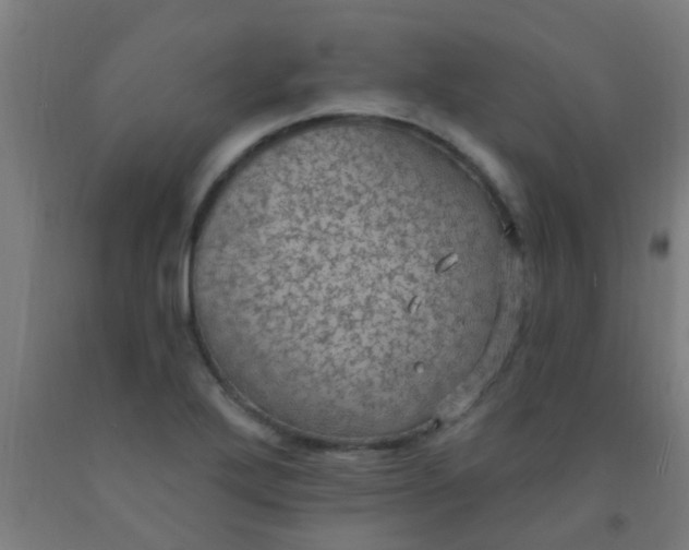 X0000092031272200709271602