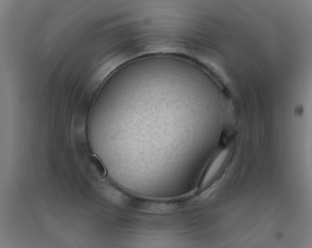 X0000092031273200709271602