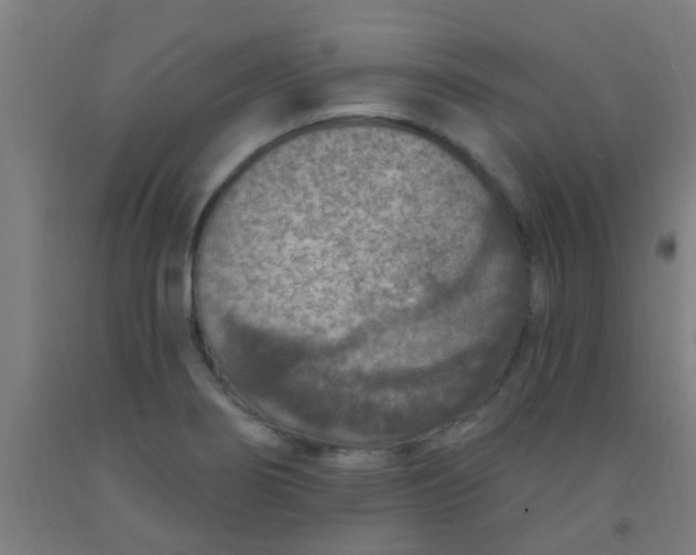 X0000092031274200709271602