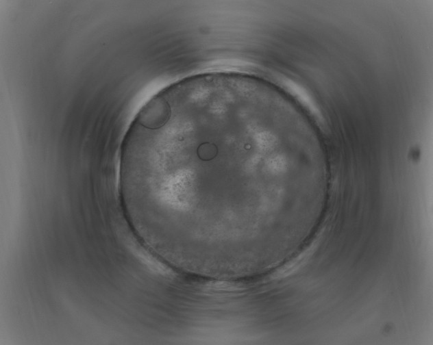 X0000092031275200709271602