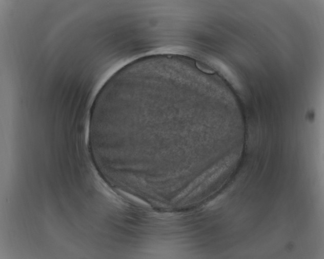 X0000092031276200709271602