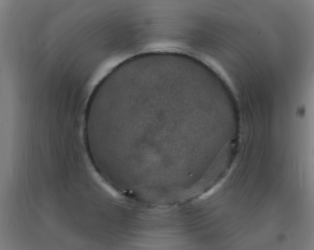 X0000092031277200709271602