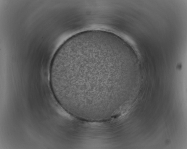 X0000092031280200709271602