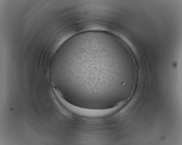 X0000092031281200709271602