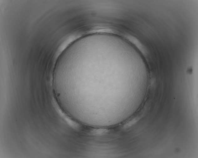 X0000092031282200709271602