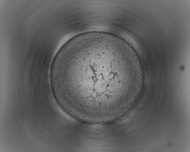 X0000092031283200709271602