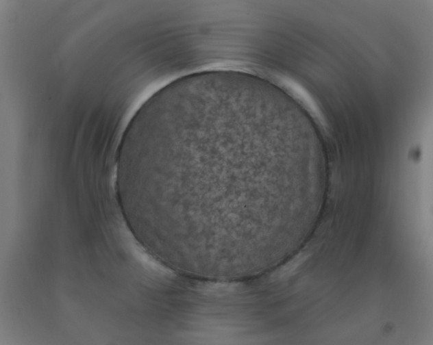 X0000092031284200709271602