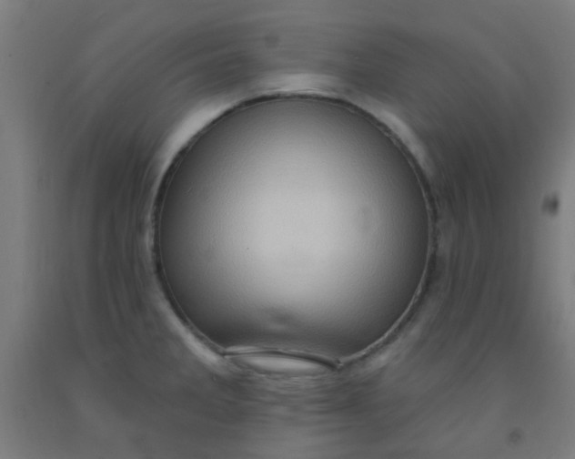 X0000092031285200709271602