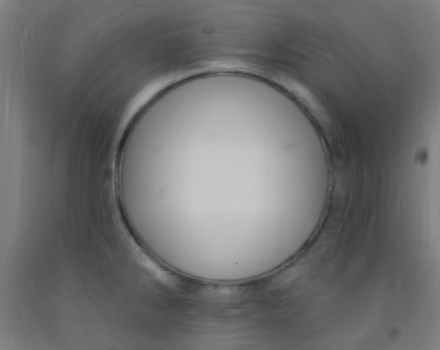 X0000092031286200709271602