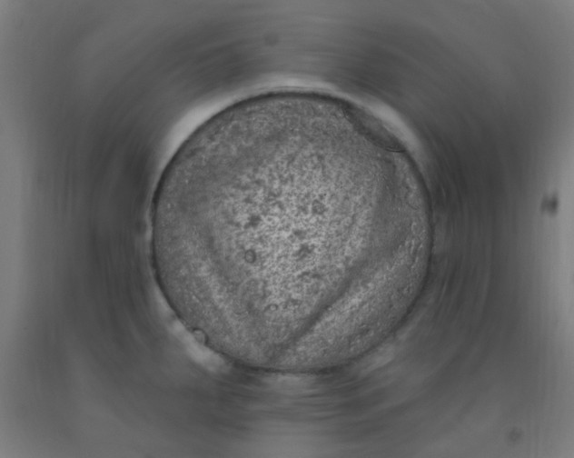 X0000092031287200709271602