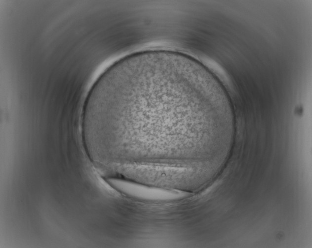 X0000092031288200709271602