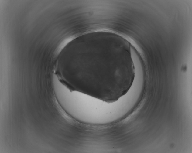 X0000092031289200709271602