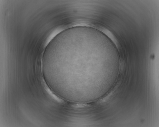 X0000092031290200709271602